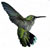 Hummingbird-like