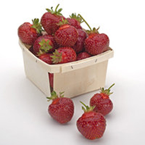 Galletta - Strawberry Varieties