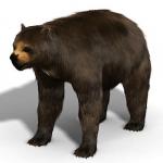  Giant Short-Faced Bear  - bears species | datvis jishebi | დათვის ჯიშები