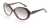 Ralph Lauren  RL8062 - Sunglasses