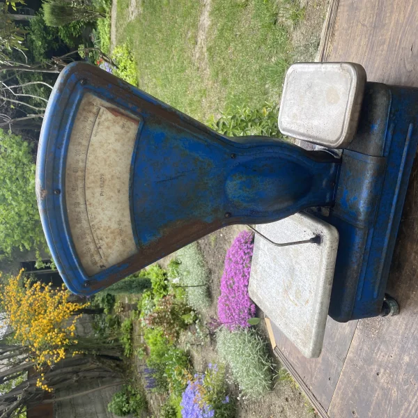 სასწორი