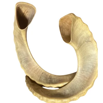 ყანწები